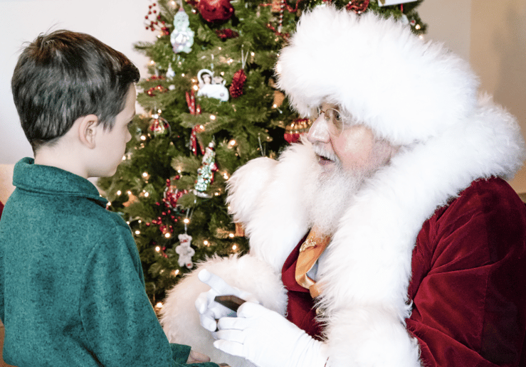 Gallery photo 7 of Santa Claus Visits You