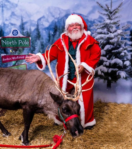 Gallery photo 3 of Santa Claus Neil