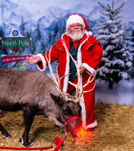 Gallery photo 4 of Santa Claus Neil