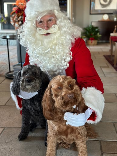 Gallery photo 2 of Santa Claus with British Accent