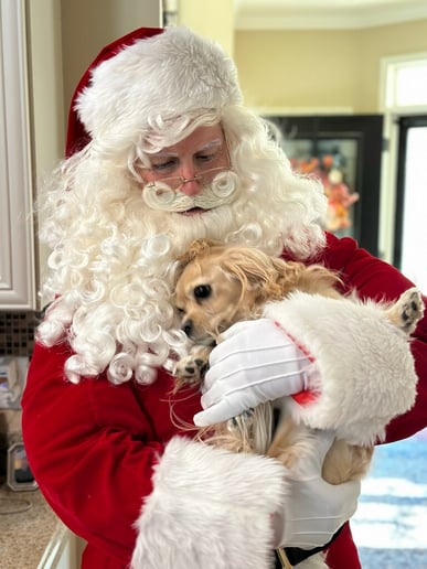 Gallery photo 8 of Santa Claus with British Accent
