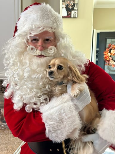 Gallery photo 5 of Santa Claus with British Accent
