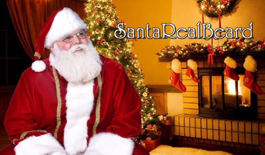 Gallery photo 7 of Santa Real Beard