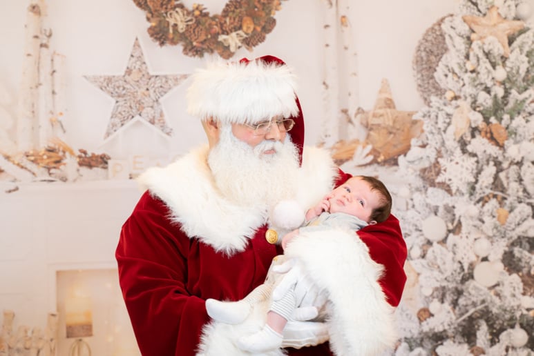 Gallery photo 6 of Santa Real Beard