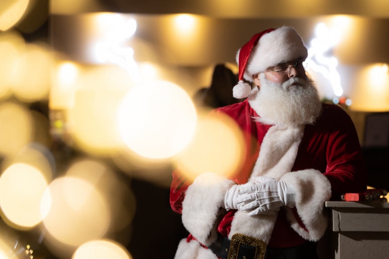 Gallery photo 8 of Santa Real Beard