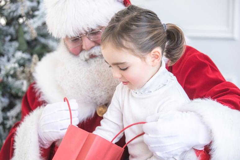 Gallery photo 3 of Santa Real Beard