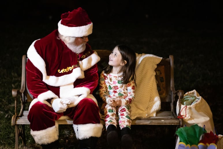 Gallery photo 15 of Santa Claus Robert, with real hair and beard