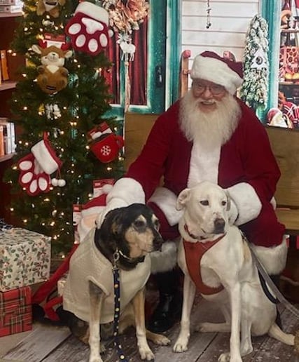Gallery photo 1 of Santa Bill