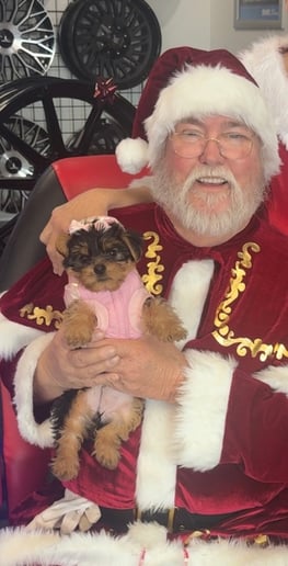 Gallery photo 8 of Santa Claus - Anytime