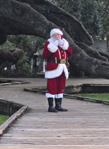 Gallery photo 7 of Papa Noel