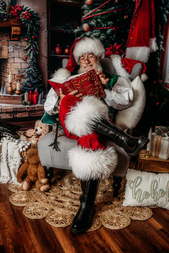 Gallery photo 4 of Santa Claus Merlin