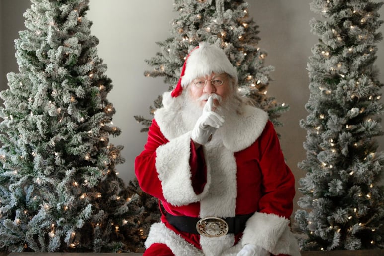 Gallery photo 1 of Santa Clauss