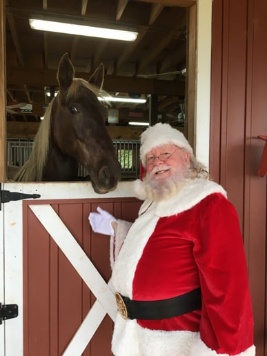Gallery photo 6 of Santa Clauss