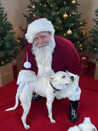 Gallery photo 8 of Santa Clay