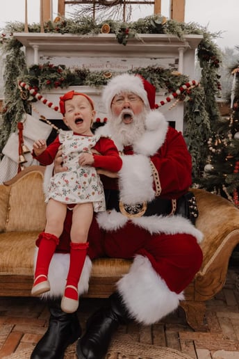Gallery photo 7 of Santa & Company
