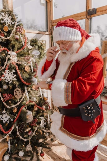Gallery photo 8 of Santa & Company