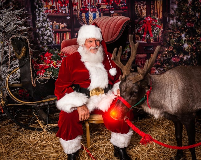 Gallery photo 4 of Santa Curt