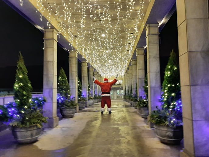 Gallery photo 1 of Santa D