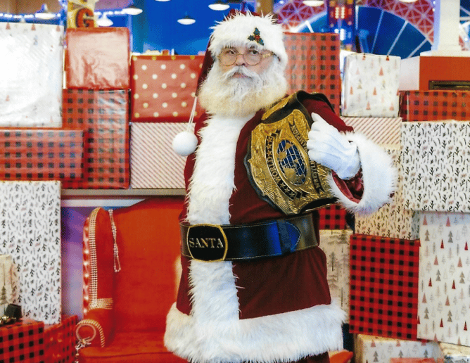 Gallery photo 13 of Santa D