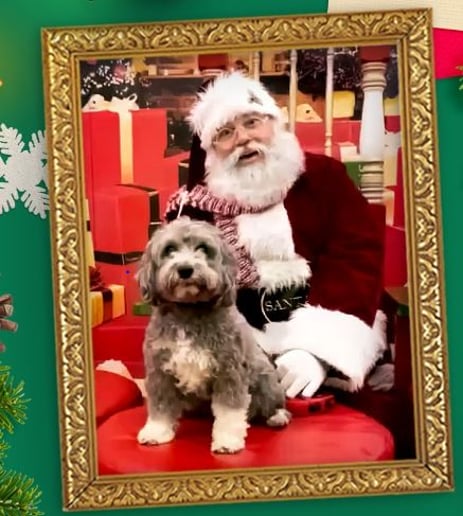 Gallery photo 14 of Santa D
