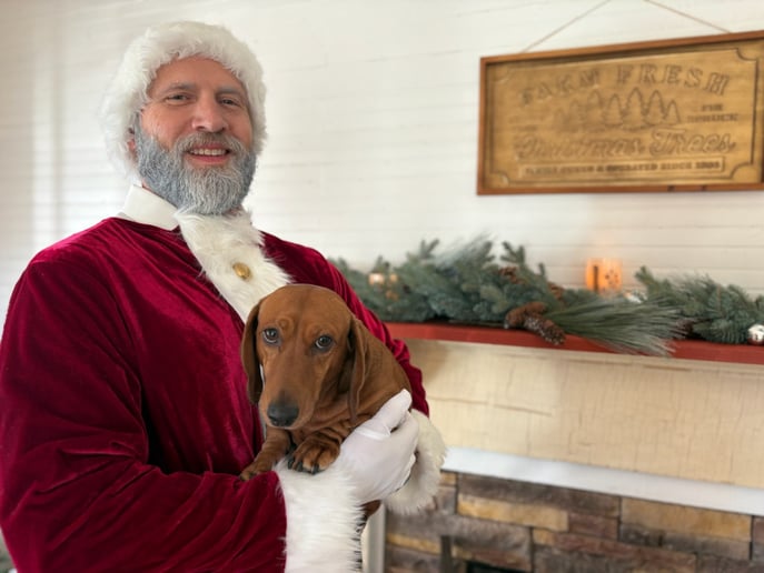 Gallery photo 4 of Santa Brad