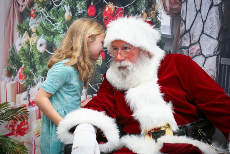 Gallery photo 1 of Santa Dan