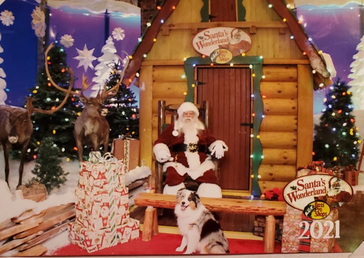 Gallery photo 44 of Santa Dan