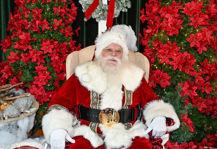 Gallery photo 50 of Santa Dan