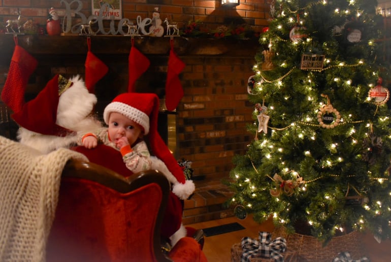 Gallery photo 24 of Santa Dan