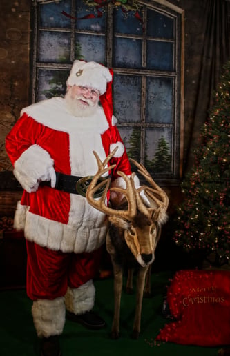 Gallery photo 1 of Santa Dana