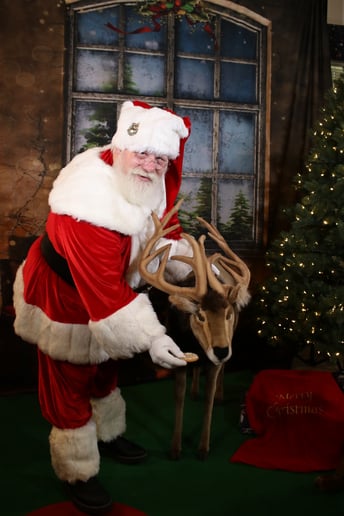 Gallery photo 4 of Santa Dana