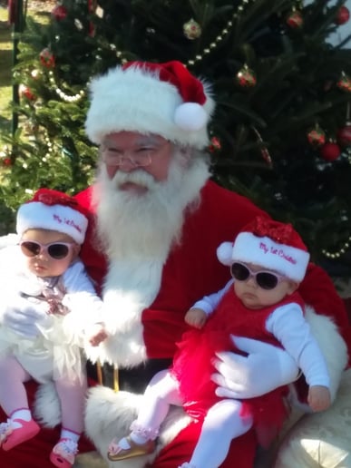 Gallery photo 7 of Santa Dane