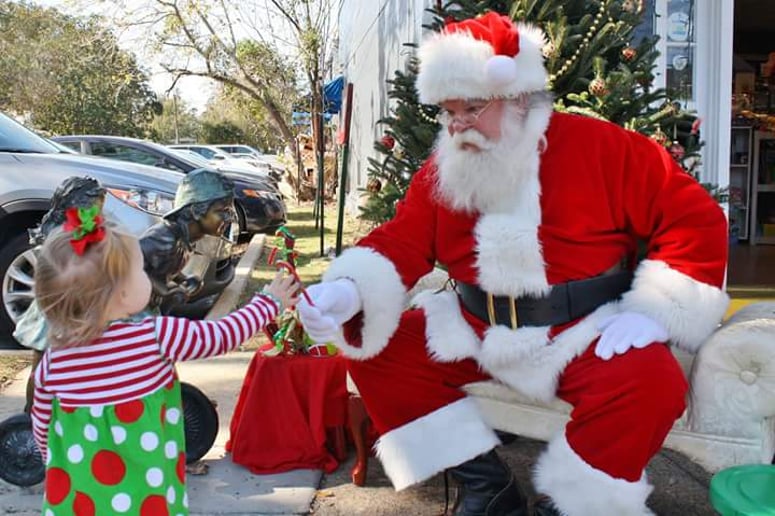 Gallery photo 2 of Santa Dane