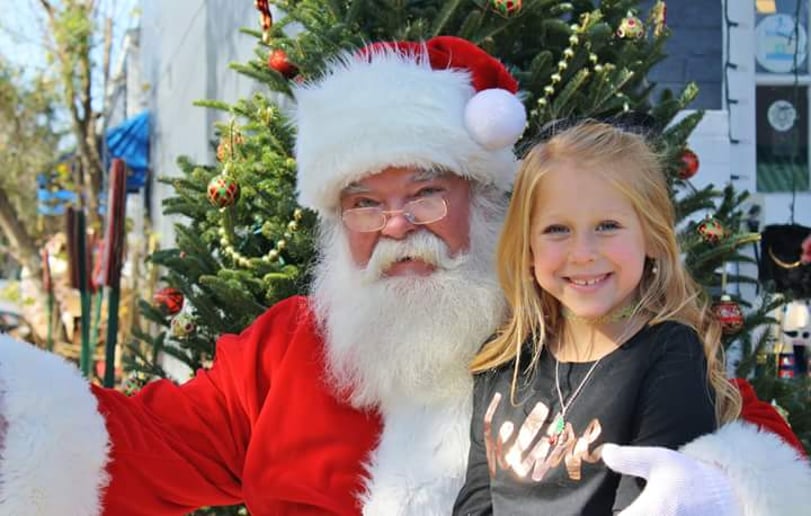 Gallery photo 3 of Santa Dane