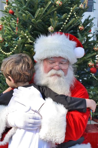 Gallery photo 8 of Santa Dane