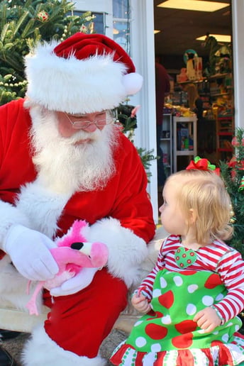 Gallery photo 5 of Santa Dane