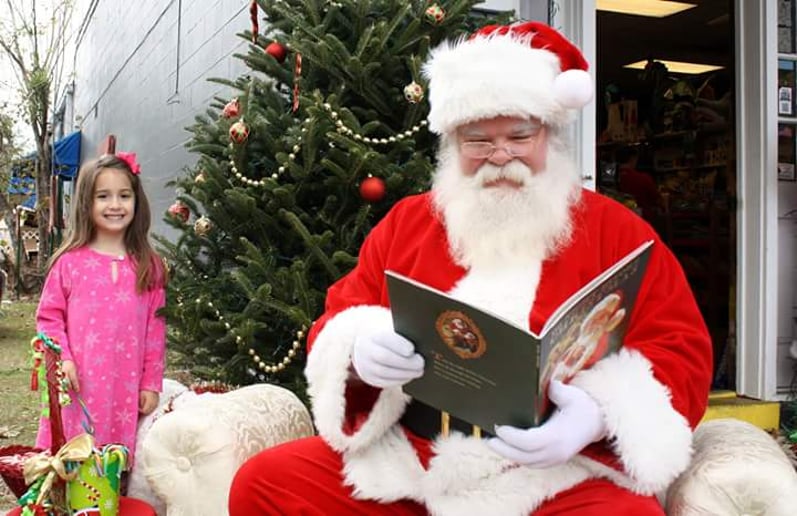Gallery photo 6 of Santa Dane