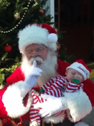 Gallery photo 4 of Santa Dane
