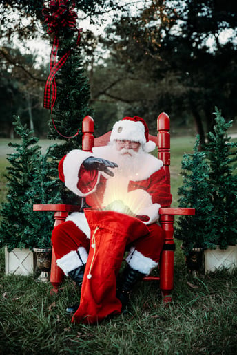 Gallery photo 10 of Santa Dane