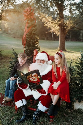 Gallery photo 10 of Santa Dane