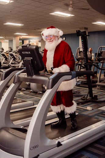 Gallery photo 3 of Santa Dane