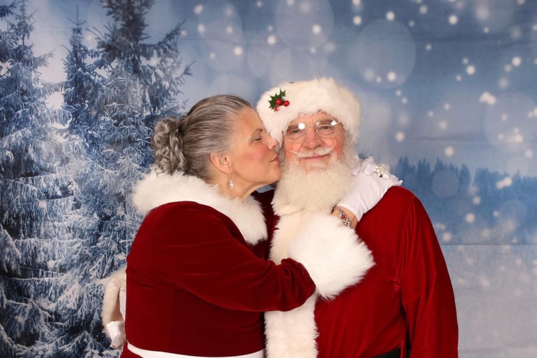 Gallery photo 8 of Santa Dane