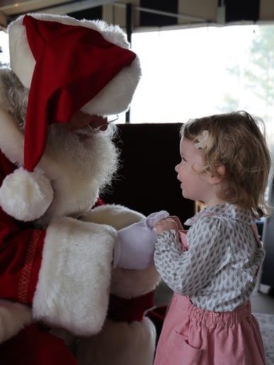 Gallery photo 10 of Santa Daniel