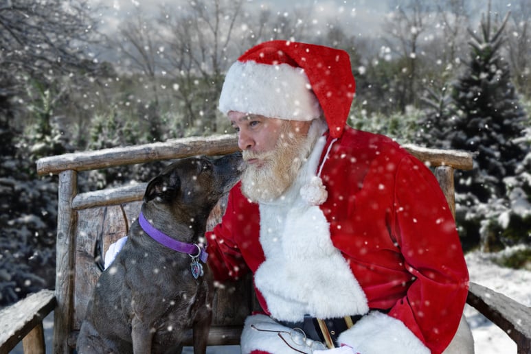 Gallery photo 1 of Santa Daniel