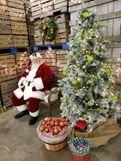 Gallery photo 2 of Santa Darrin