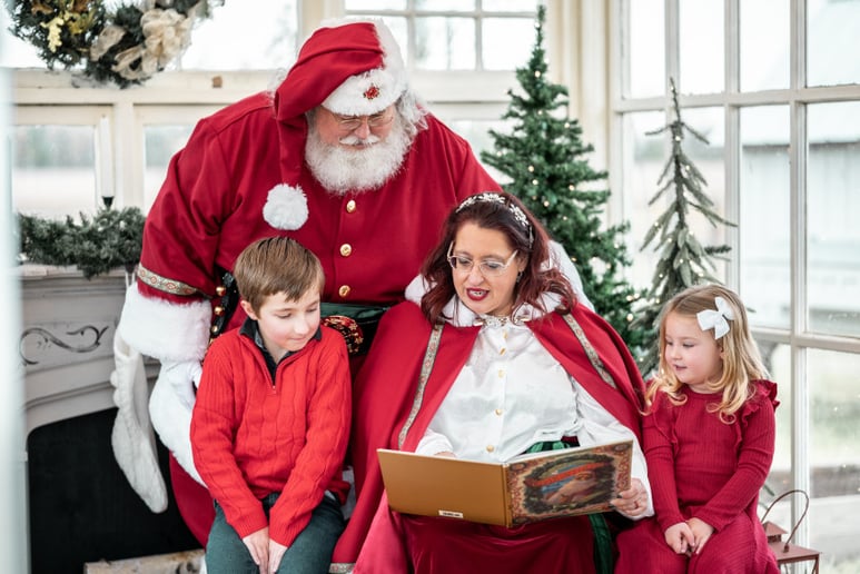 Gallery photo 7 of Santa Dave and Mrs. Claus
