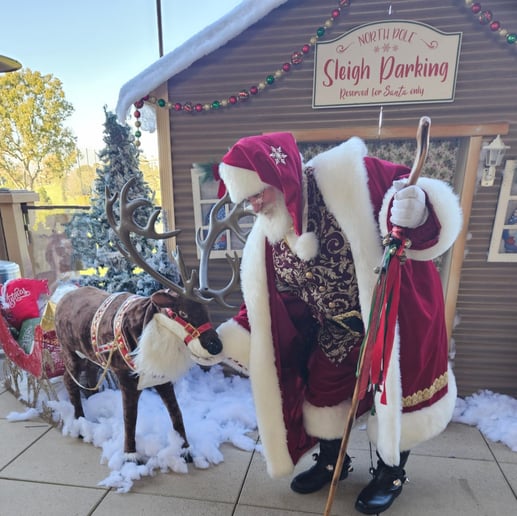 Gallery photo 22 of Santa Dave