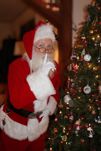 Gallery photo 3 of Santa Dave