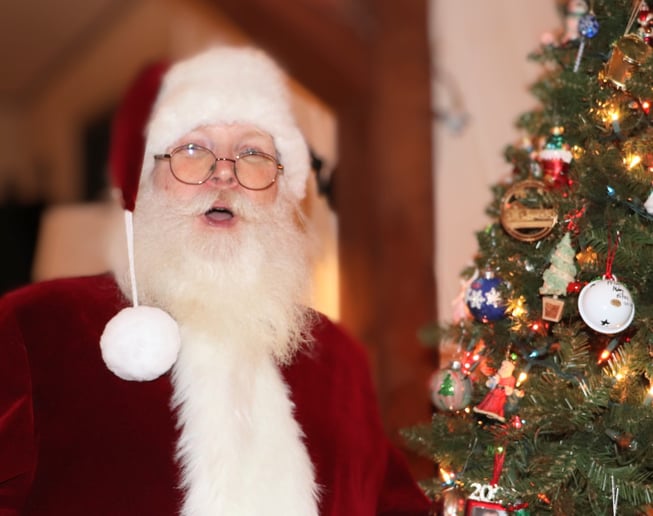 Gallery photo 4 of Santa Dave