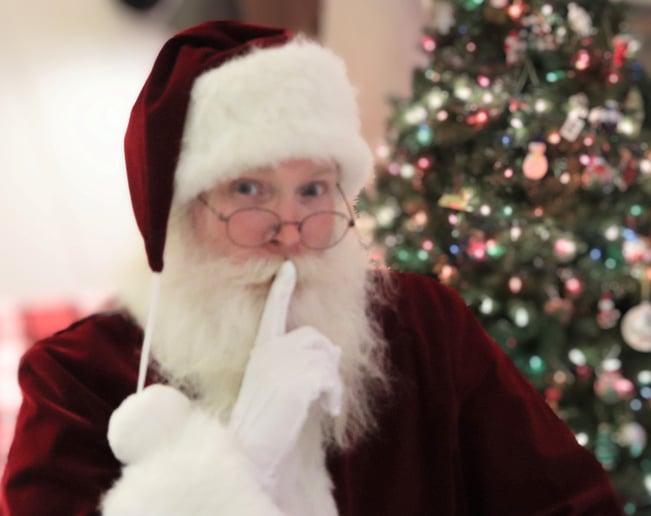 Gallery photo 7 of Santa Dave